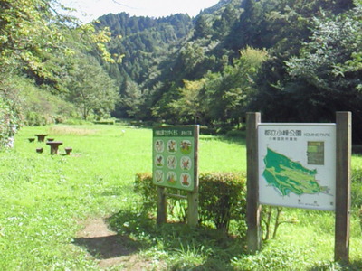 都立小峰公園の原っぱ